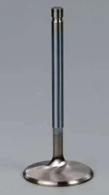 Dart 11/32 Intake Valve - SB Chevy 2.080  .100