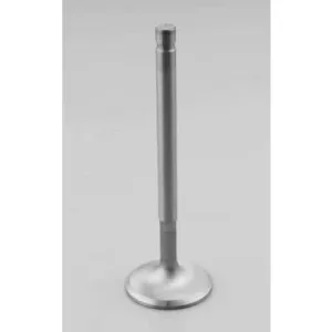 Dart Exhaust Valve - 1.600 in Head - 11/32 in Valve Stem - 5.010 in Long - Small Block Chevy