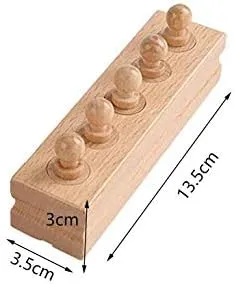 Enhance Toddlers Sensorial Skills with Montessori MiniCylinder Blocks