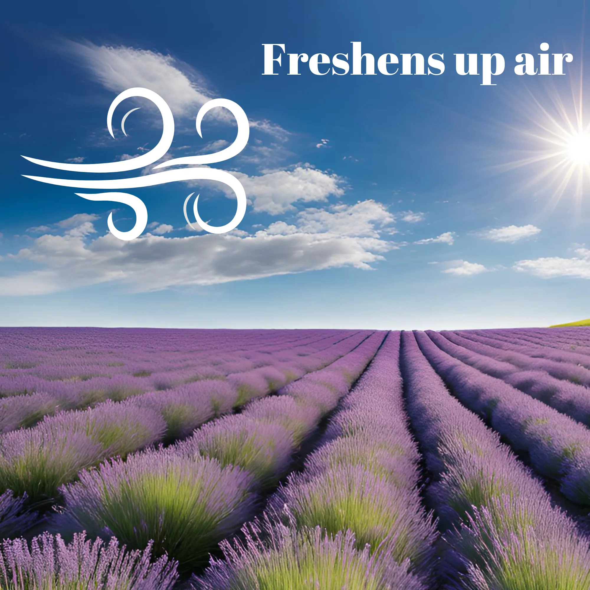 Forest Lab Natural Air Freshener | Lavender & Rosemary Pure Essential Oils | Chemical Free | Child & Pet Friendly | Pack of 3 | (300 ml makes 3 L)