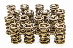 Isky Cams RAD-9000 Valve Spring Dual Spring/Damper 650 lb/in Spring Rate 1.150" Coil Bind - 1.600" OD
