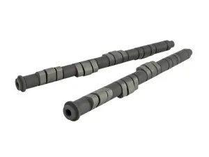 Skunk2 Pro Series Stage 1 Camshaft Set - Honda H22/F20B VTEC - 305-05-5200